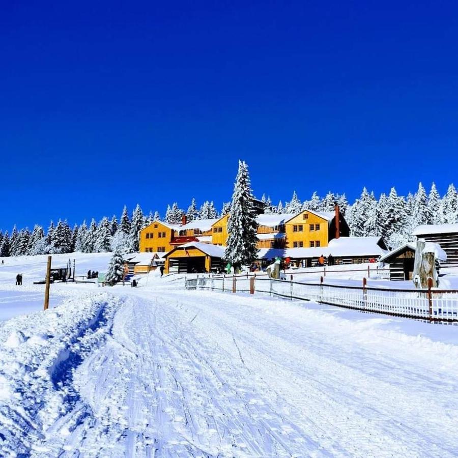 Horsky Hotel Kolinska Bouda Pec pod Sněžkou Buitenkant foto